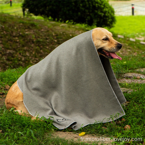 Serviette pour chien à usage pratique 85x50 cm